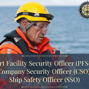 Port Facility Security Officer (PFSO), Company Security Officer (CSO), Ship Safety Officer (SSO)
