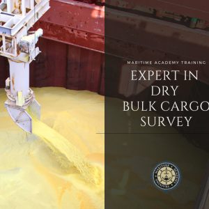 Expert in Dry Bulk Cargo Survey