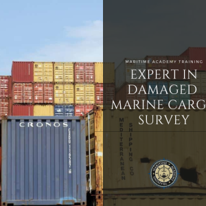 Expert in Damaged Marine Cargo Survey