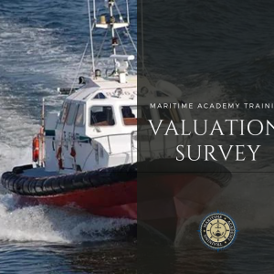 Valuation Survey