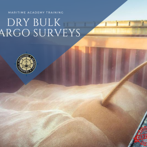 Dry Bulk Cargo Surveys