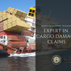 Expert in Cargo Damage Claims