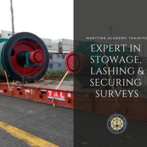 Expert in Stowage, Lashing and Securing Surveys